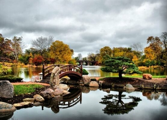 stunning-japanese-garden-design-pond-bridge-trees-stones