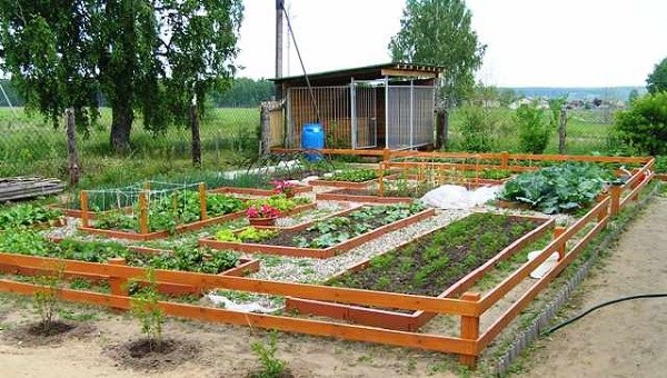 40 Vegetable Garden Design Ideas What, Greenhouse Vegetable Garden Layout