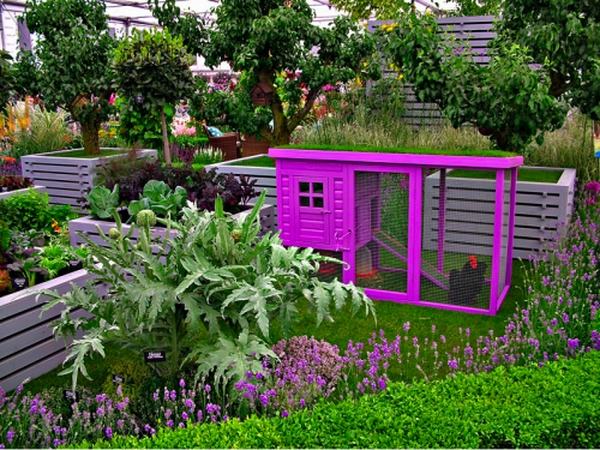 vegetable backyard raised beds dog house