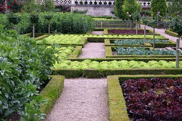  garden hedge beds vegetables