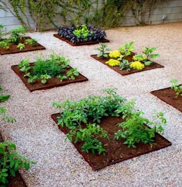 Small vegetable garden ideas – how to plan and design them?