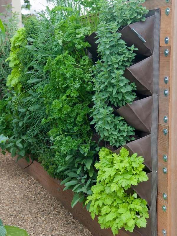vertical vegetable herb landscapingsmall space