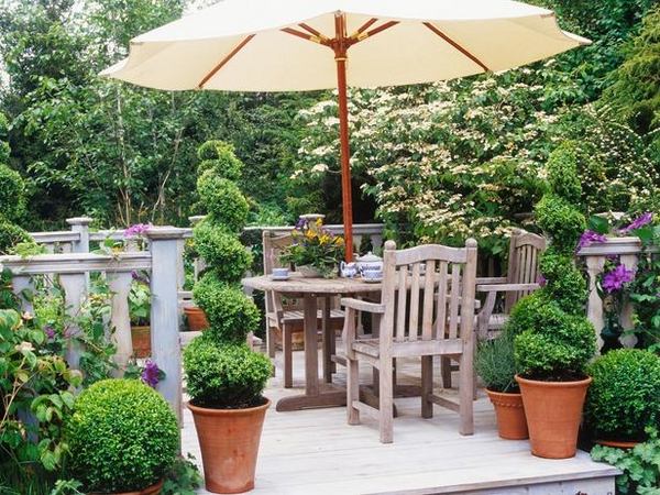 easy topiary shapes spiral patio decoration ideas plant containers