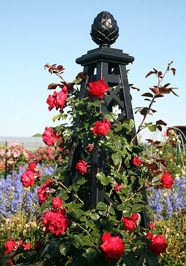 garden obelisk designs ideas garden decoration ideas rose pillar