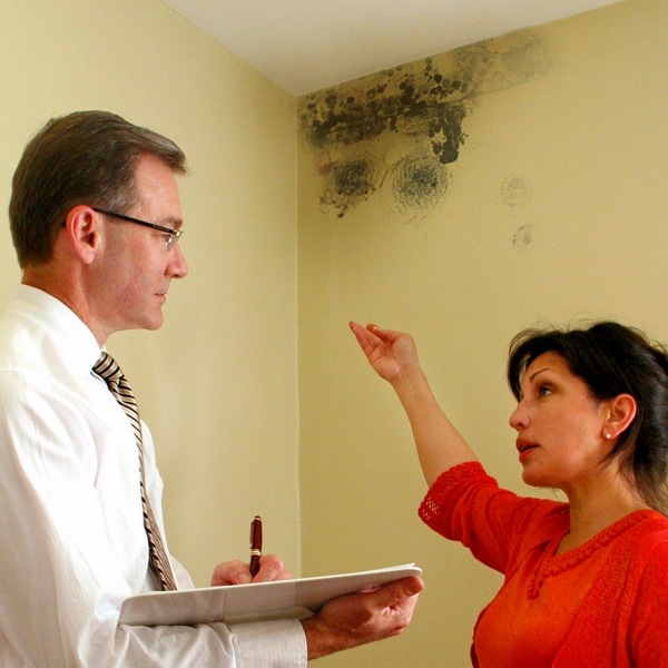 mold cleaning ideas tips how to recognize 