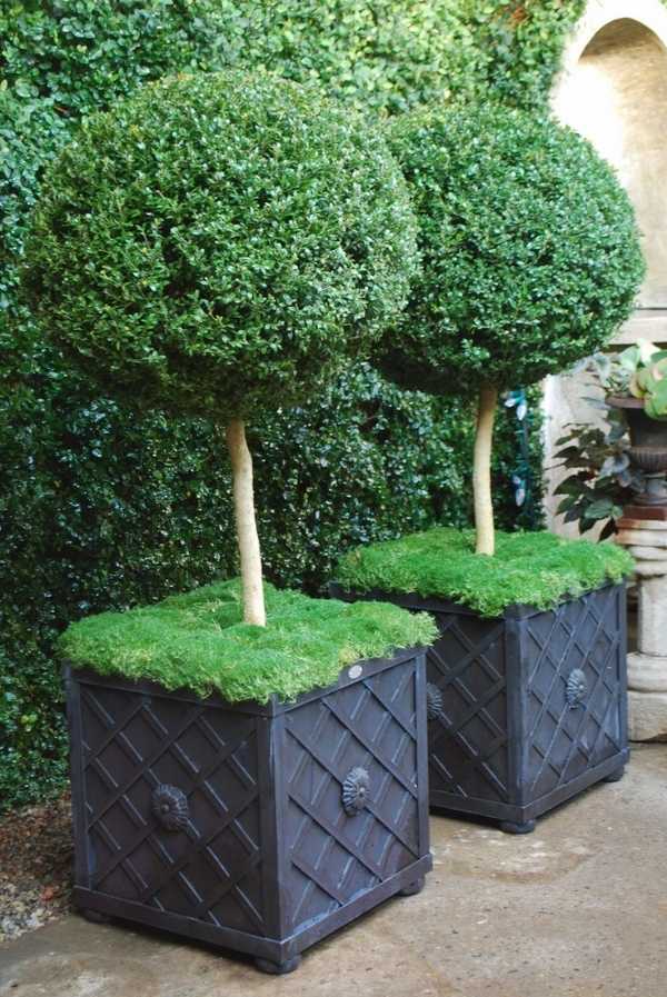 patio decorating ideas boxwood topiaries plant containers round shapes