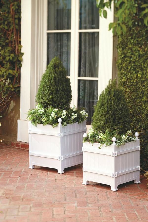 patio decoration ideas boxwood topiary white wood containers