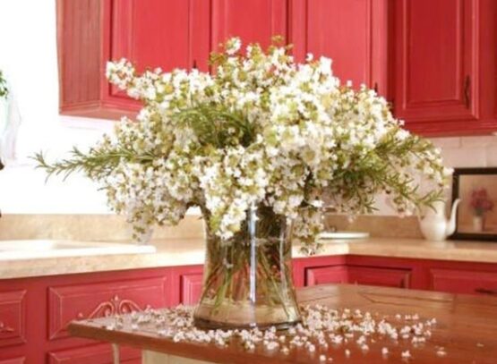 restaining-kitchen-cabinets-color-design-modern-kitchen-ideas