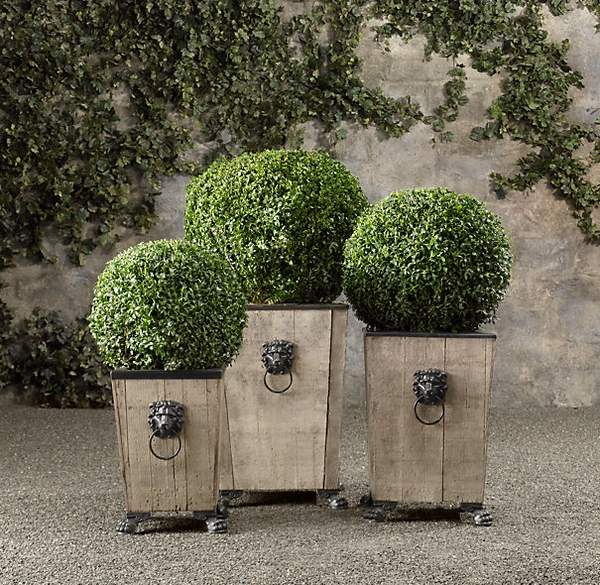 round boxwood topiaries different sizes outdoor decoration 