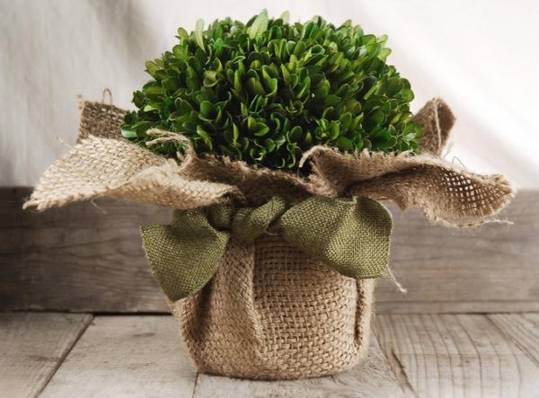 small boxwood home decorating ideas flower pot