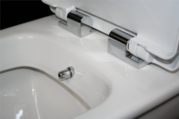 toilet-bidet-combo-advantages- modern-bathroom-ideas