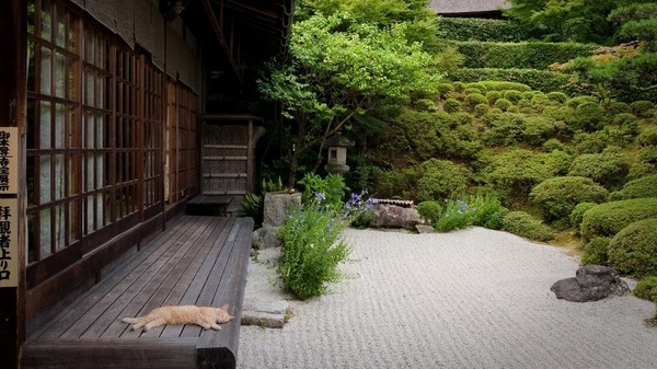 Japanese home garden ideas patio landscaping