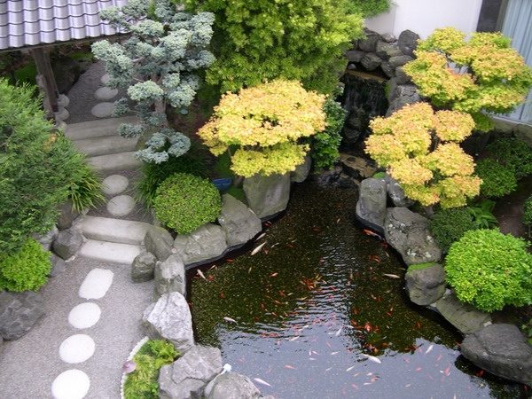 Japanese design water elements path stones koi pond