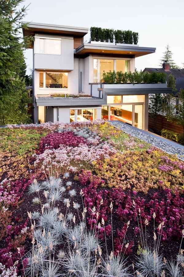 contemporary landscape ideas roof garden designs modern home exterior