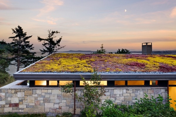 green roofs rooftop garden designs flat roof gardens