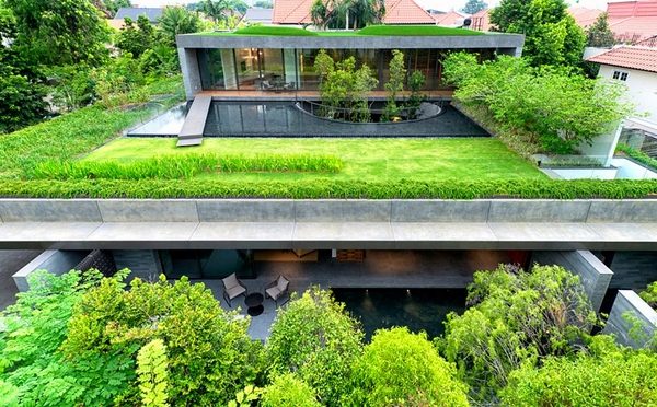 modern house rooftop gardens trees lawn house exterior ideas