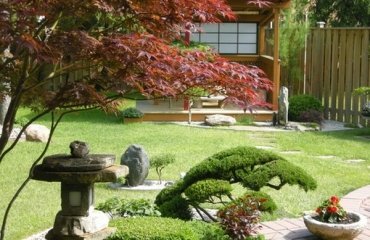 stunning-Japanese-garden-patio-garden-ideas-bonsai-trees