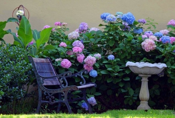 Garden decoration hydrangeas blue pink color cozy seating area table