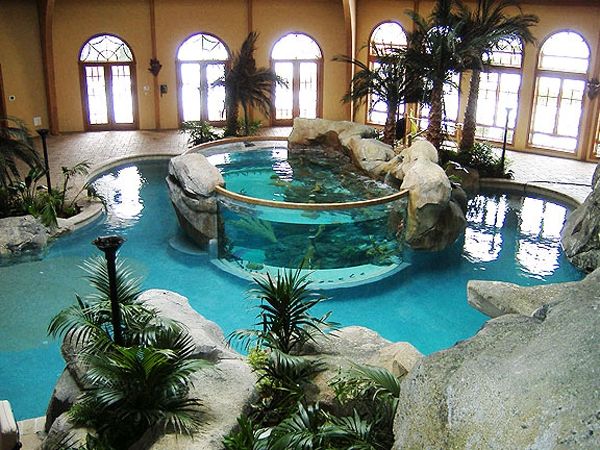 Modern indoor swimming pool tropical decor rocks palm trees