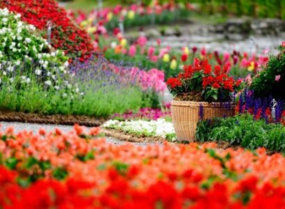 amazing-flower-garden-ideas-different-flowers-tulips-variety-of-colors