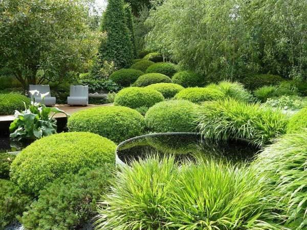 awesome landscape design ideas garden decoration round pond hedge plants