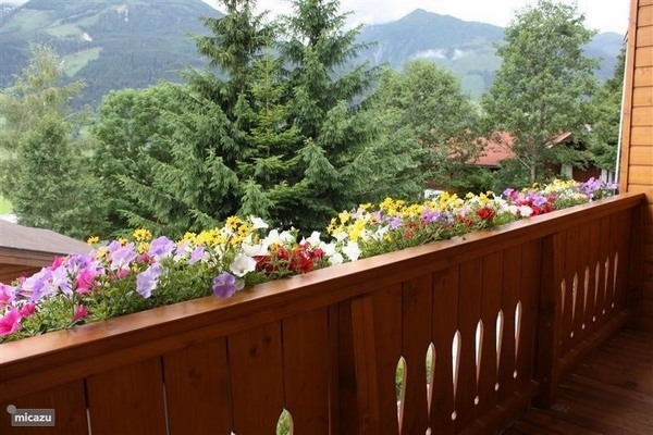 balcony ideas hanging planter boxes blooming flowers