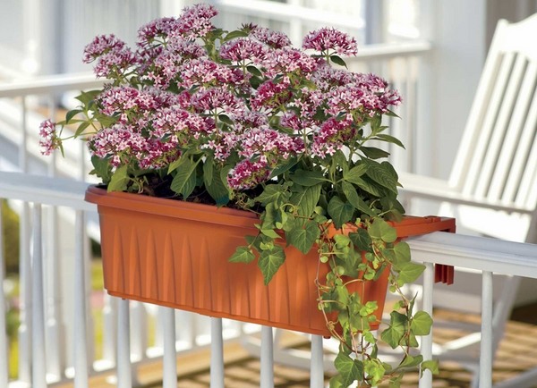 balcony planter decoration ideas white railing