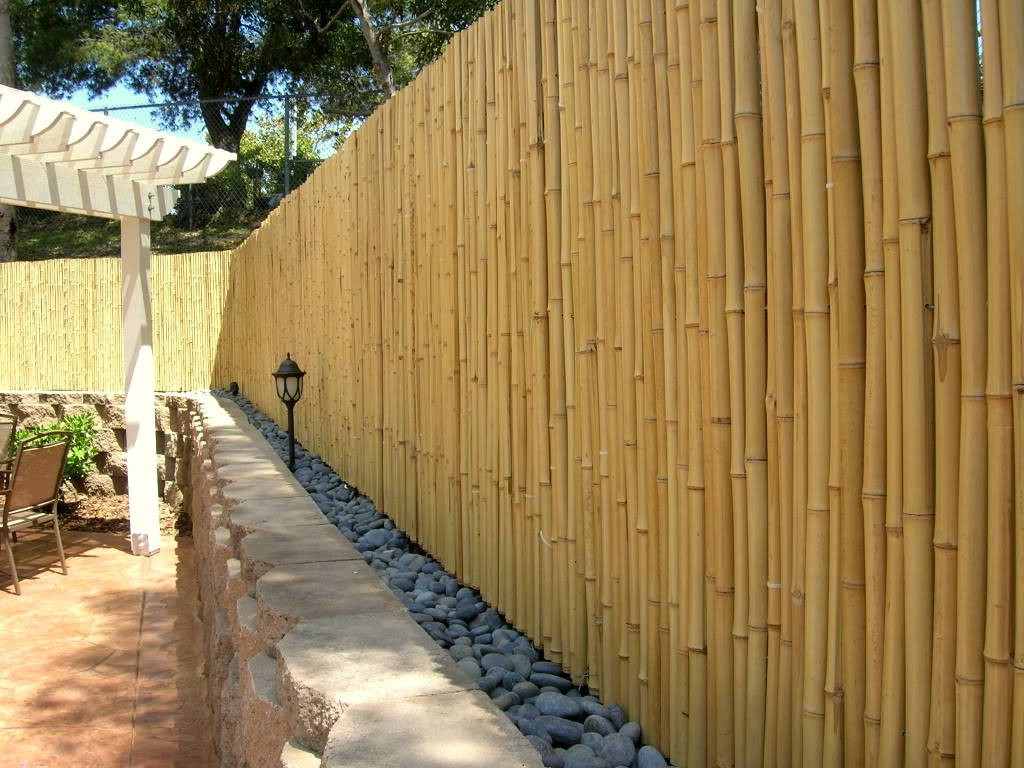bamboo fence design ideas bamboo fencing privacy fence ideas 