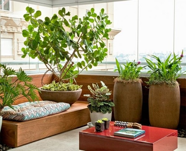 cool balcony design ideas wooden bench plants low table
