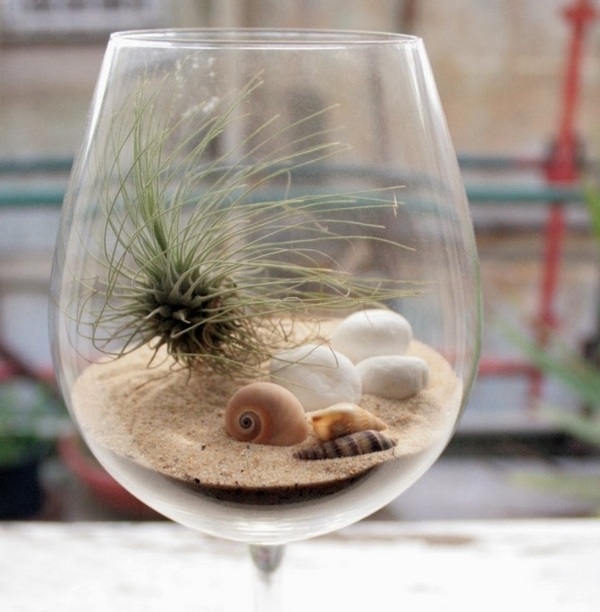 creative decoration ideas wine glass air plant sand shells mini terrarium design ideas