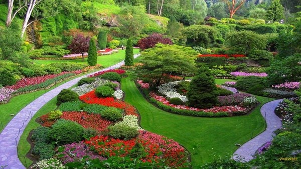 fantastic garden landscape design flowers trees garden paths