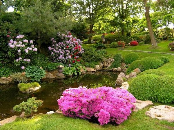 flower gardens beautiful landscape 