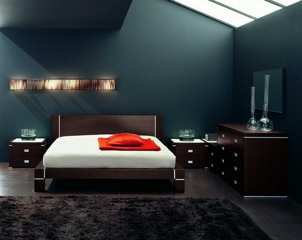 mens bedroom decoration ideas dark wall color skylight modern furniture