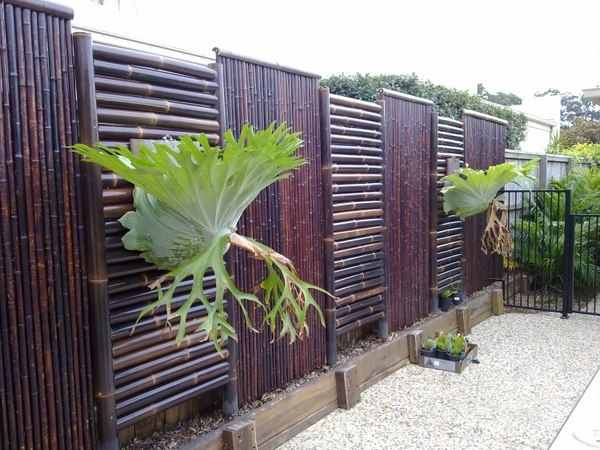 modern fence screening ideas privacy screens stained bamboo fence