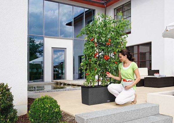 self watering planter ideas balcony garden ideas