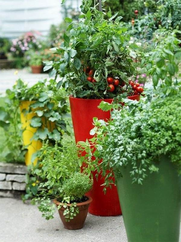 small balcony vegetable garden balcony design ideas