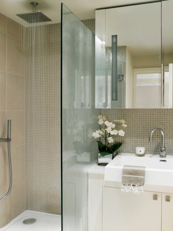 small-bathrooms-walk-in-shower-glass-wall-rain-shower-head-white-vanity