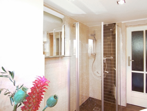 small-shower-ideas-small-bathroom-designs-brown-tiles-glass-walls