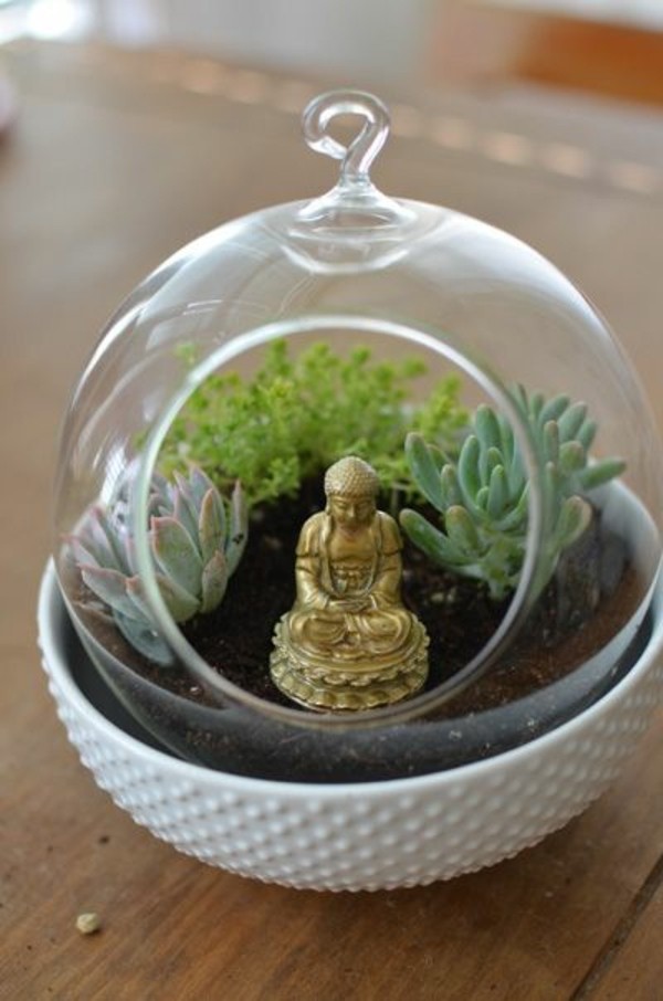 succulent plants glass vessels Buddha statue