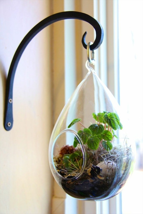 wall decoration ideas terrarium plants glass vessel hanging wall decoration