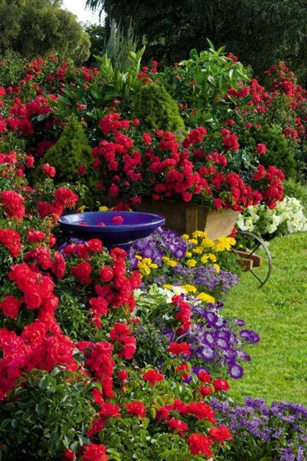 Blooming-roses-romantic-garden-design-ideas