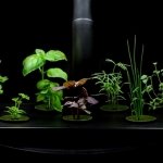 Hydroponic-gardening-planters-indoor-herb-garden-ideas