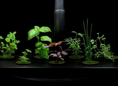 Hydroponic-gardening-planters-indoor-herb-garden-ideas