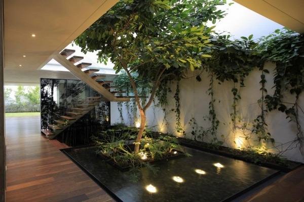 indoor-garden-contemporary-home-ideas