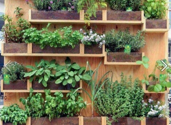 Wall mounted herb garden ideas pallet wood creative vertical garden design