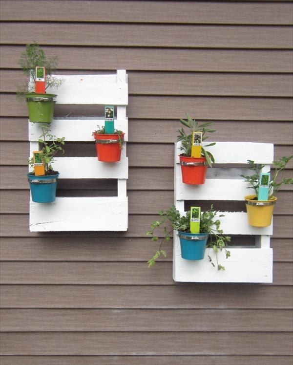 adorable white pallet colorful buckets