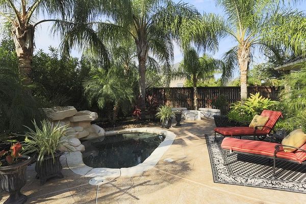 backyard landscape retreat garden pond palm trees sun loungers
