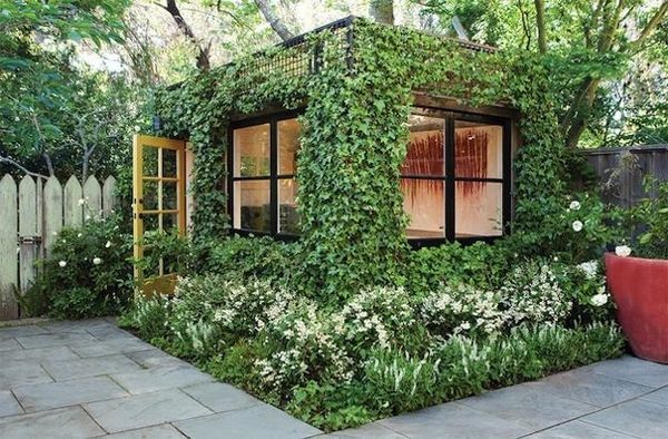 contemporary garden house ivy backyard ideas