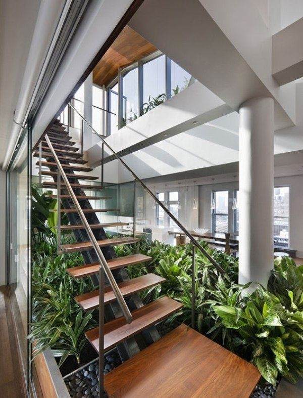 eco-friendly-interiors-wooden steps-indoor-garden-green plants