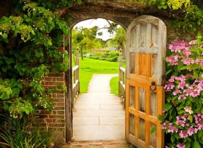 how-to-create-a-backyard-oasis-tips-ideas